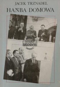 Hańba domowa