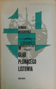 W głąb płonącego listowia
