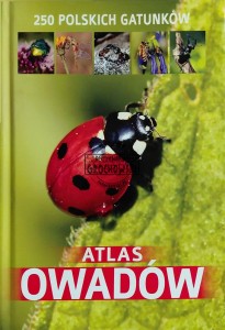 Atlas owadów. 250 polskich gatunków
