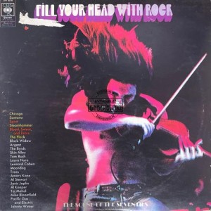 Various – Fill Your Head With Rock 2LP