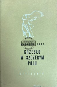 Krzesło w szczerym polu
