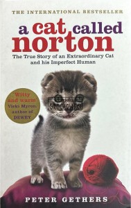 A cat called Norton