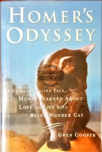 Homer's Odyssey