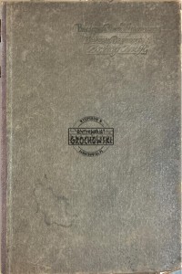 Dziwy Indji