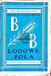 Lodowe pola