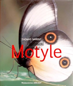 Motyle