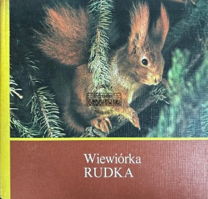 Wiwiórka Rudka