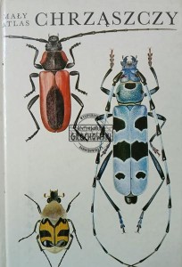 Mały atlas chrąszczy