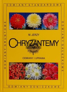 Chryzantemy. Odmiany i uprawa