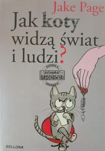 Jak koty widzą świat i ludzi?
