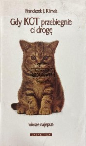 Gdy kot przebiegnie ci drogę