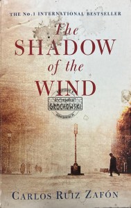 The shadow of the wind