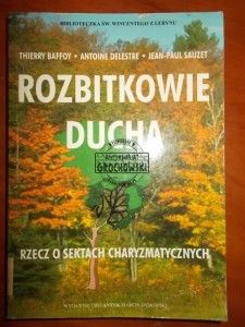 Rozbitkowie ducha: rzecz o sektach charyzmatycznych