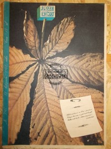Przekrój. Nr 1910. 15 listopada 1981