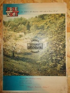Przekrój. Nr 2029. 29 kwietnia 1984